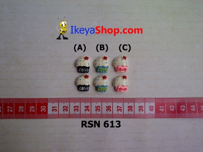 rsn 613  large2